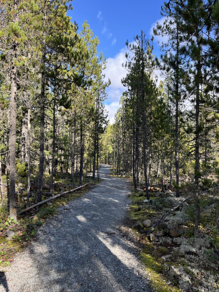hiking trails near whistler